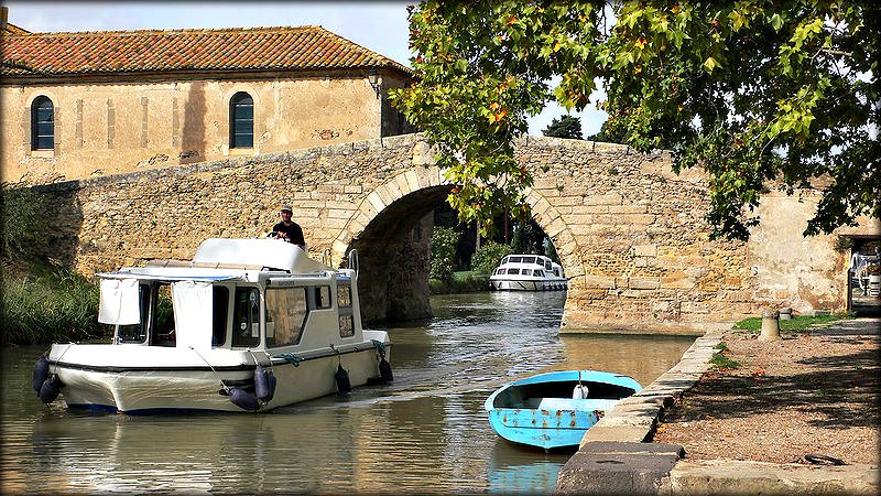 Les Platanes du Canal du Midi sont Menac&eacute;s.