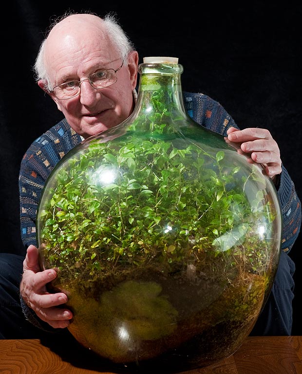 UN  PETIT JARDIN DANS UN BOCAL EN VERRE DEPUIS 1960